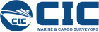 Logo Marine & Cargo Surveyor