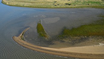 Milieux estuariens.