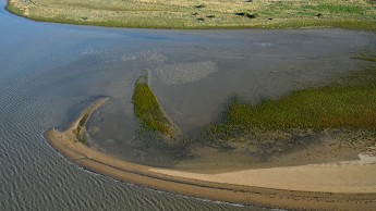 Milieux estuariens.