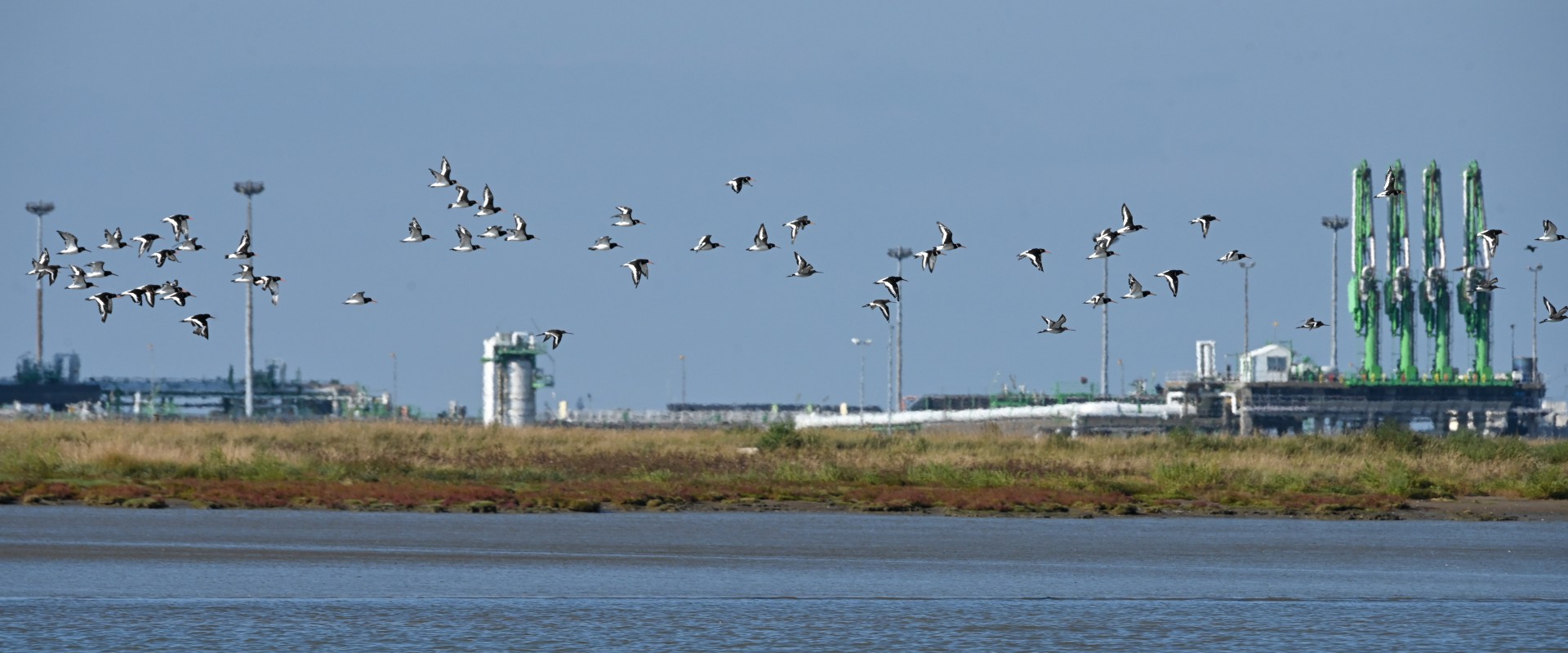 Avec GOCO₂, le CO₂ partira de Montoir de Bretagne