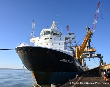 New LPS550, LMH600 and LMH 550 port cranes